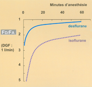 Fig06.jpg (89464 octets)