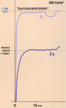 Fig31.jpg (74885 octets)